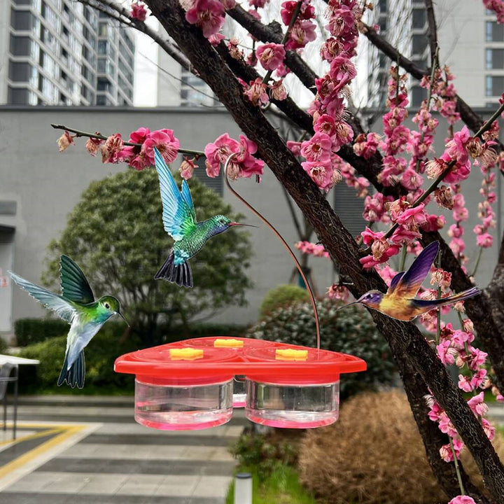 3 Pcs Set Removable Hanging/Stick-on Hummingbird Feeder