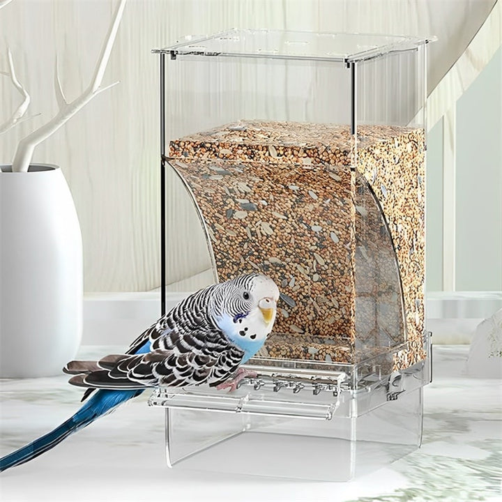 No Mess Automatic Parrot Bird Feeder