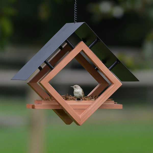 The Architect Wild Bird Feeder