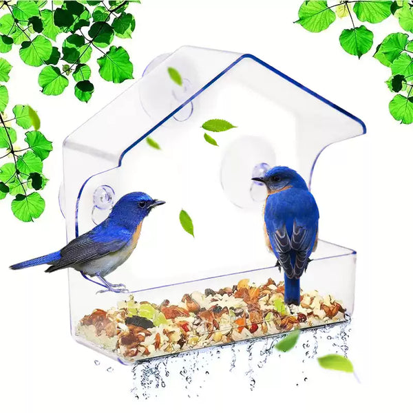 Acrylic Window Bird Feeder
