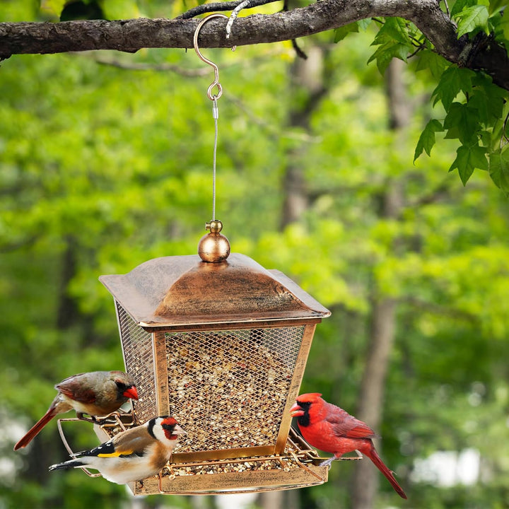 SAMHEOUTDOOR 2.5lb. Metal Street Lamp Shaped Bird Feeder