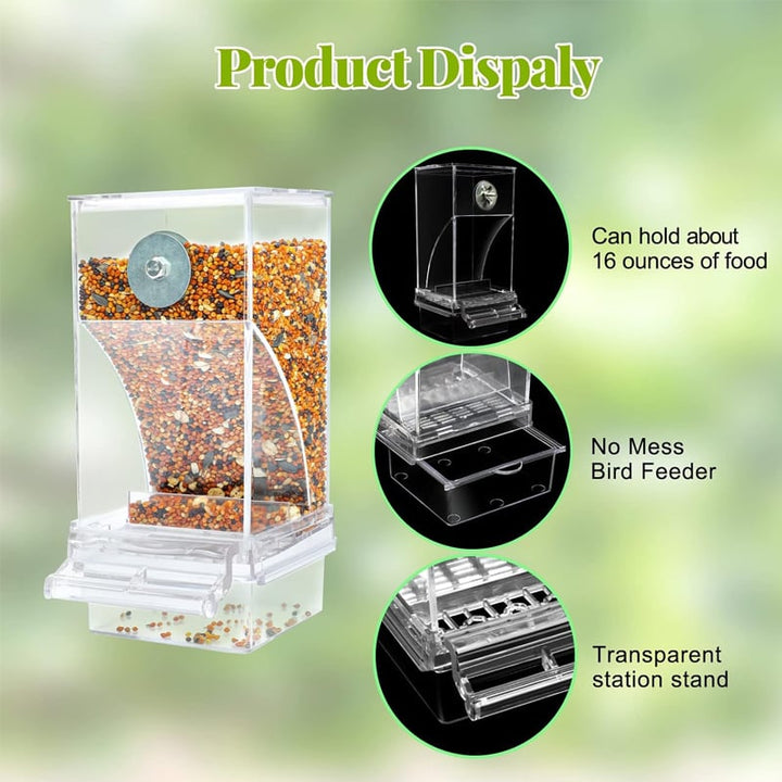 No Mess Automatic Parrot Bird Feeder