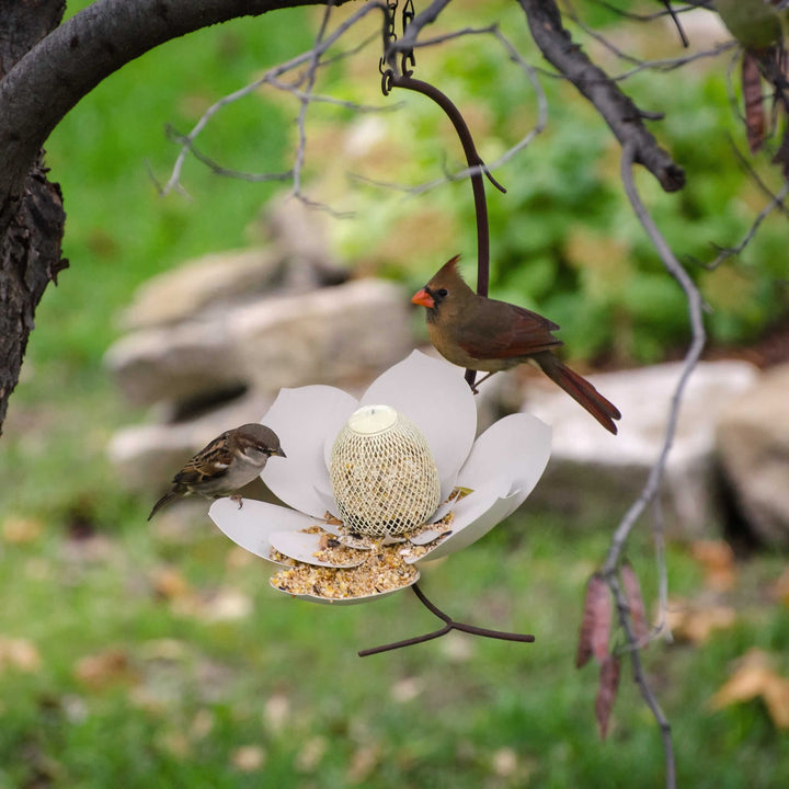 The Magnolia Metal Bird Feeder