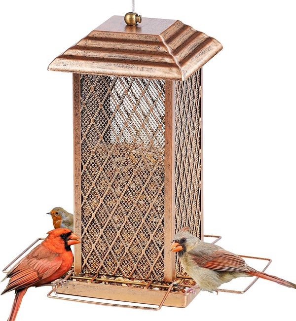 bird feeder