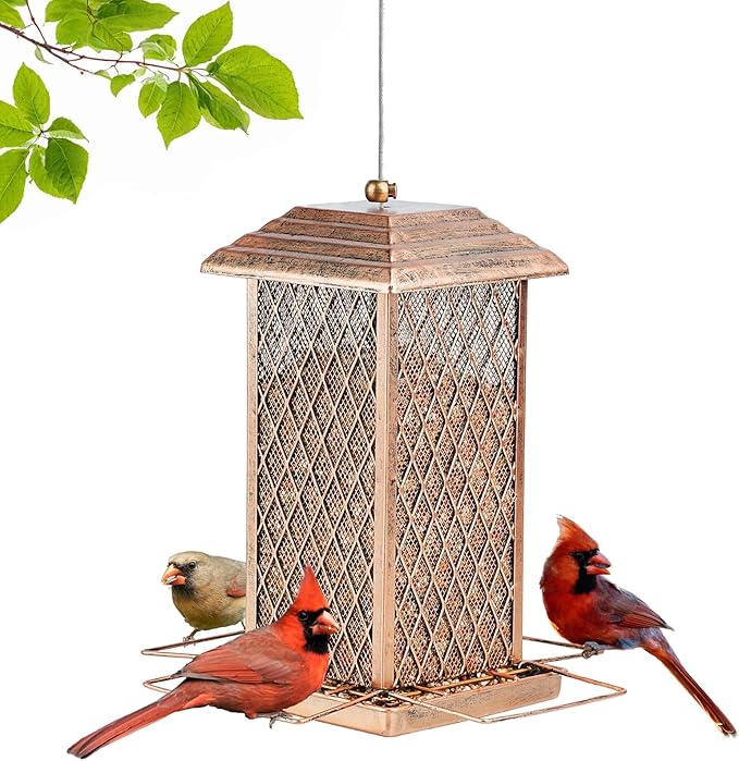 bird feeder