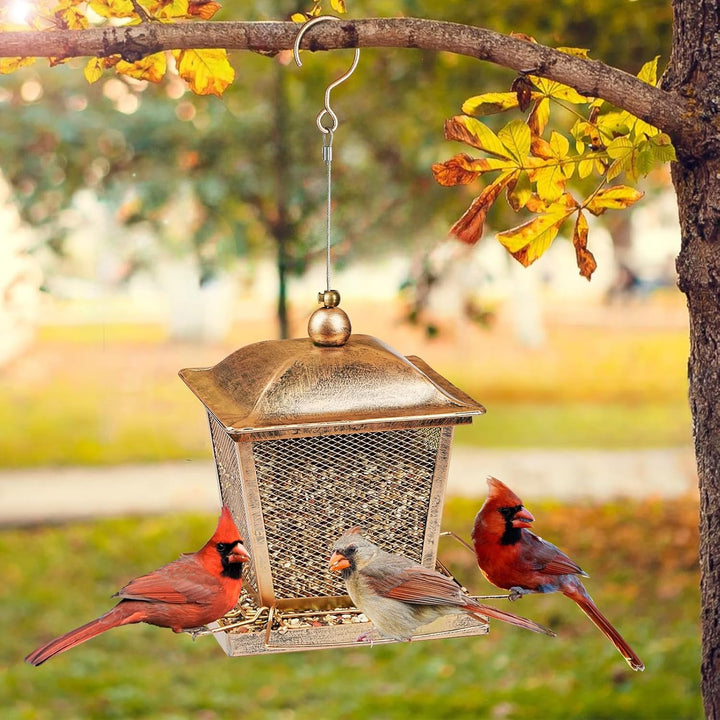 SAMHEOUTDOOR 2.5lb. Metal Street Lamp Shaped Bird Feeder