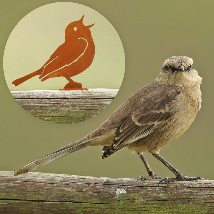 5 Pcs Metal Rusty Warbler Fence Decor