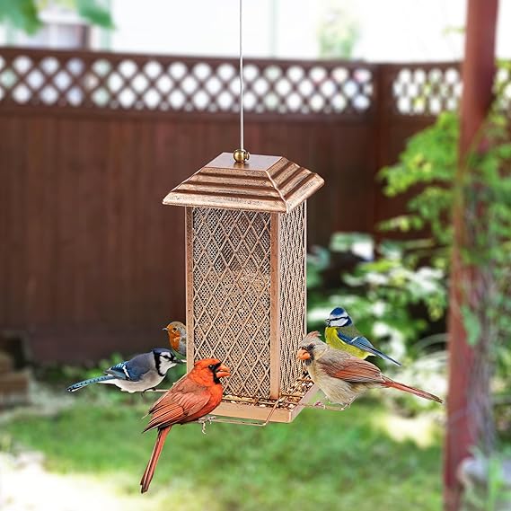 bird feeder