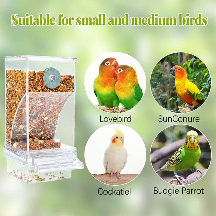 No Mess Automatic Parrot Bird Feeder