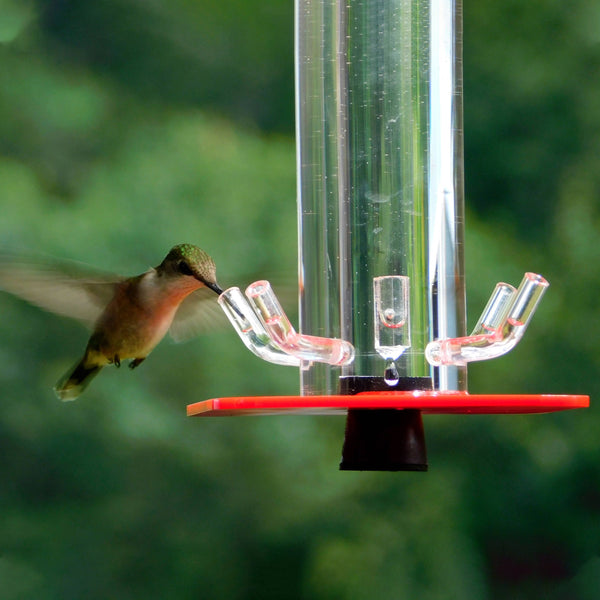 Fully Transparent 5 Feeding Ports Hummingbird Feeder