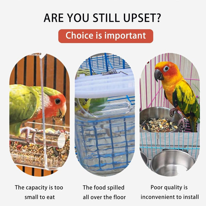 No Mess Automatic Parrot Bird Feeder