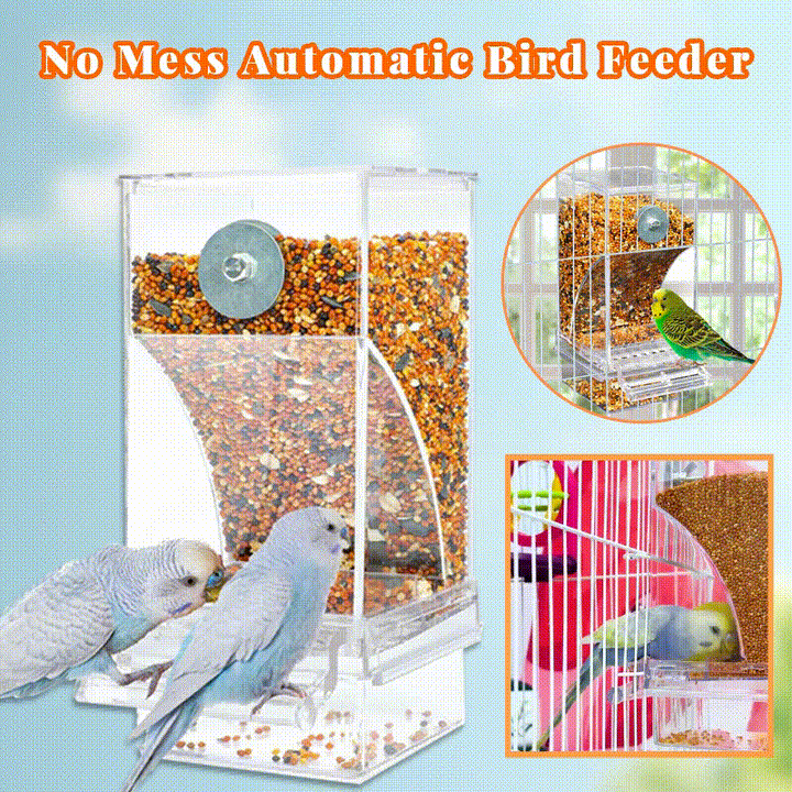 No Mess Automatic Parrot Bird Feeder