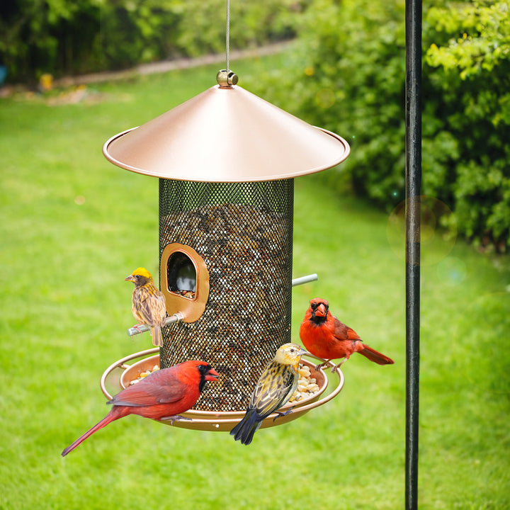 SAMHEOUTDOOR 3lb. Double-Layer Metal Wild Bird Feeder for Yard
