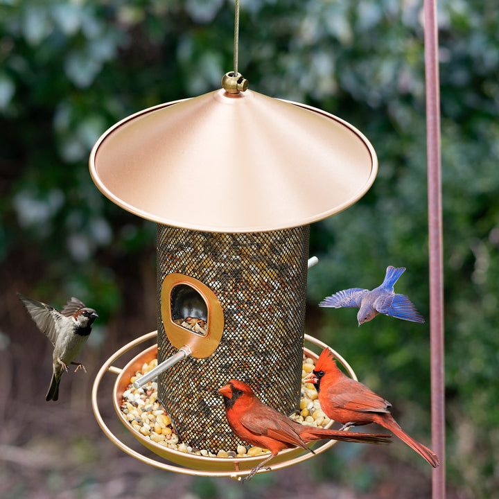 SAMHEOUTDOOR 3lb. Double-Layer Metal Wild Bird Feeder for Yard