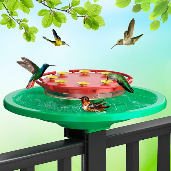 2-In-1 Hummingbird Feeder & Bathtub