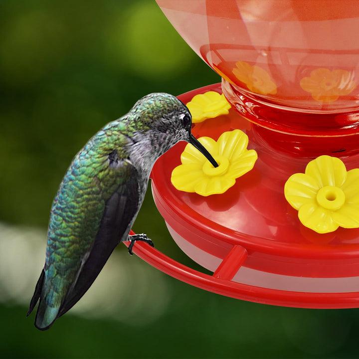 SAMHEOUTDOOR 40 oz. Flower Lamp Plastic Hummingbird Feeder with 6 Ports