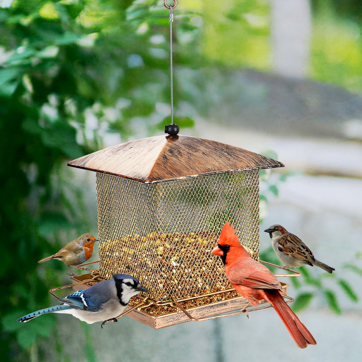 SAMHEOUTDOOR 3.5lb. & 5.0lb. Hanging Large Bronze Bird Feeder