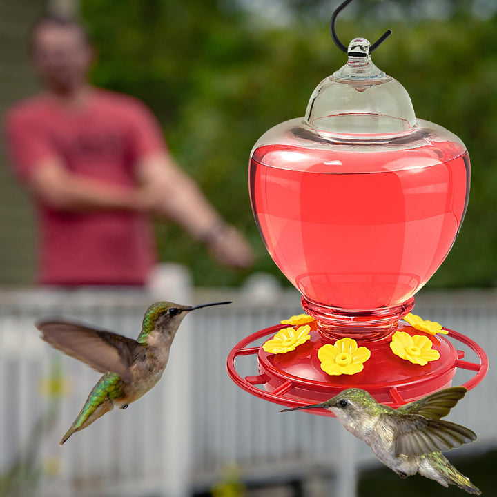 SAMHEOUTDOOR 40 oz. Flower Lamp Plastic Hummingbird Feeder with 6 Ports