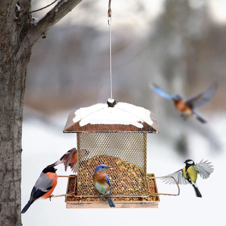 SAMHEOUTDOOR 3.5lb. & 5.0lb. Hanging Large Bronze Bird Feeder
