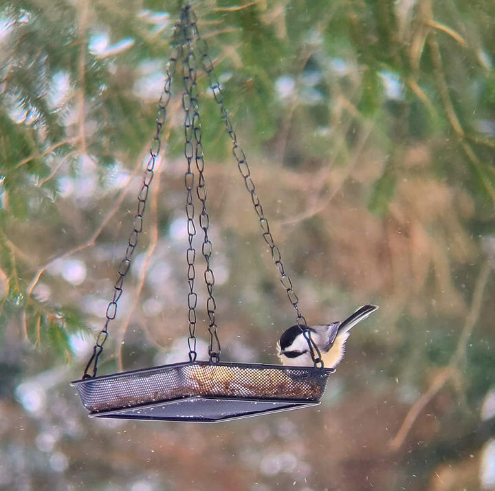 Hanging Metal Round/Square Bird Feeder Tray Square