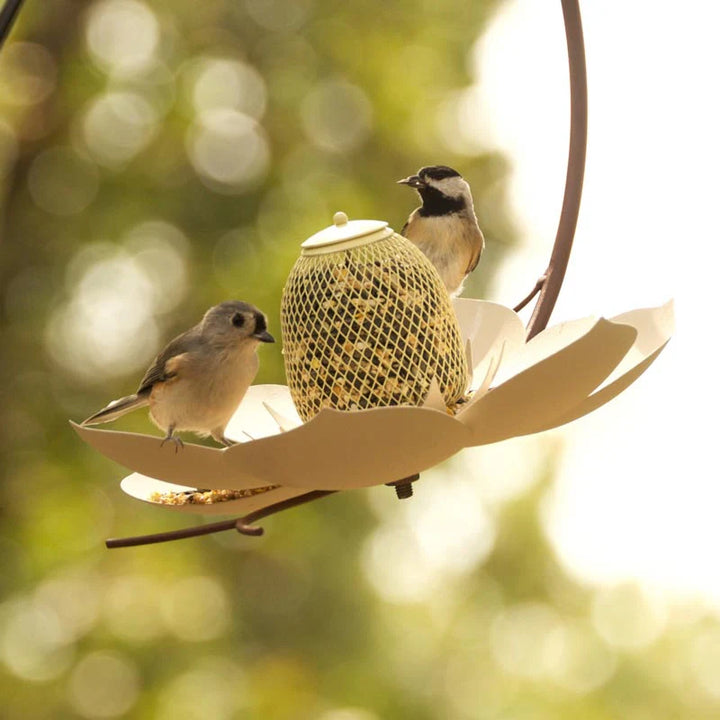The Magnolia Metal Bird Feeder