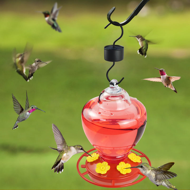 SAMHEOUTDOOR 40 oz. Flower Lamp Plastic Hummingbird Feeder with 6 Ports