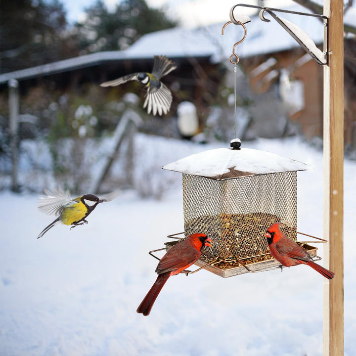 SAMHEOUTDOOR 3.5lb. & 5.0lb. Hanging Large Bronze Bird Feeder