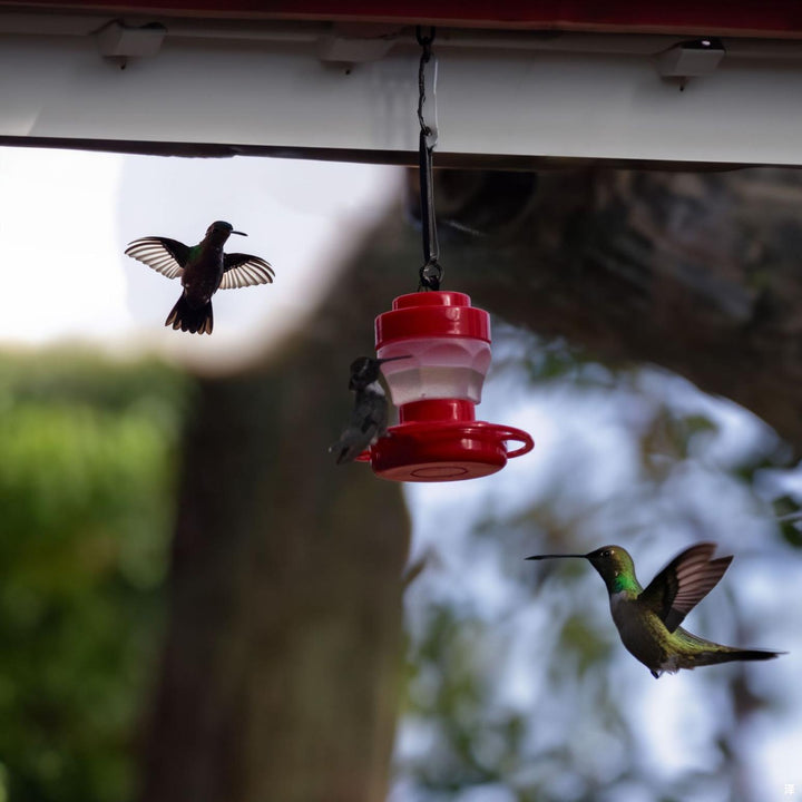 2 Pcs Set Rose Hummingbird Feeders For Outdoor