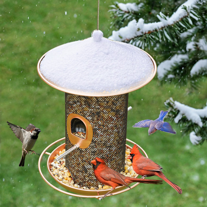 SAMHEOUTDOOR 3lb. Double-Layer Metal Wild Bird Feeder for Yard