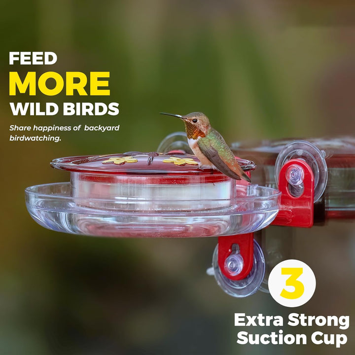5 Spots Window Hummingbird Feeder