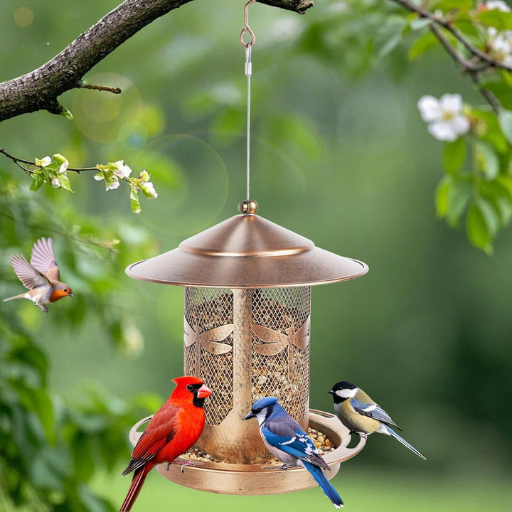 SAMHEOUTDOOR 2lb. Dragonfly Decorative Metal Bird Feeder