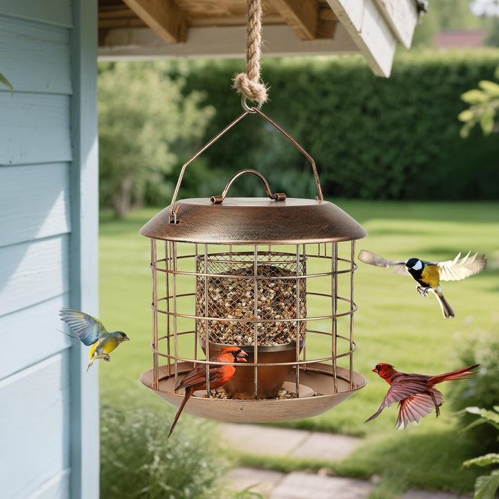 SAMHEOUTDOOR 3lb. Metal Cage Squirrel Proof Bird Feeder