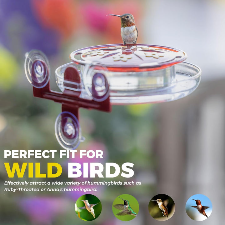 5 Spots Window Hummingbird Feeder