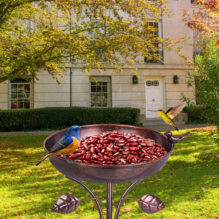 Bronze Metal Bird Bathtub