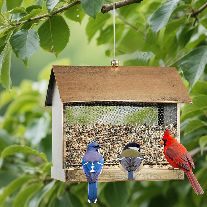 SAMHEOUTDOOR 3.5lb. Double-Side Metal House Bird Feeder