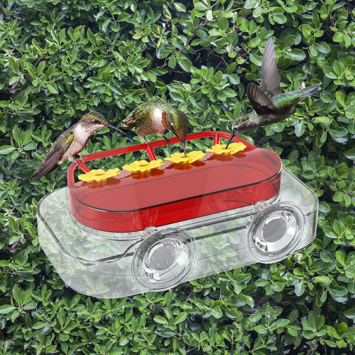 [2 Pcs Set] 🎁Suction Window Hummingbird Feeder