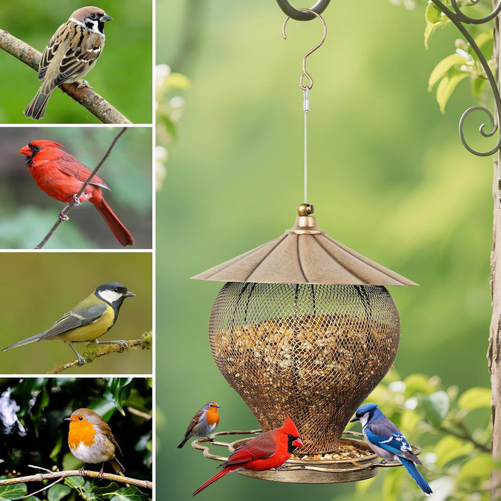 SAMHEOUTDOOR 3lb. Hot Air Balloons Metal Bird Feeder