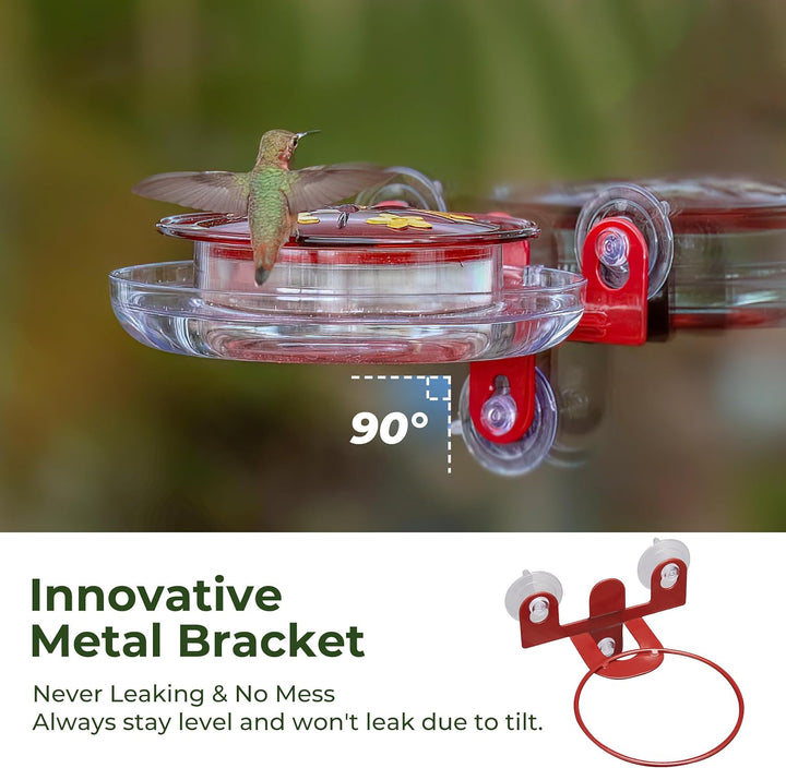 5 Spots Window Hummingbird Feeder