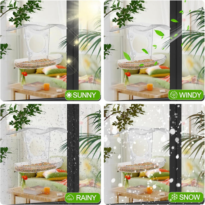 Acrylic Suction Window Bird Feeder