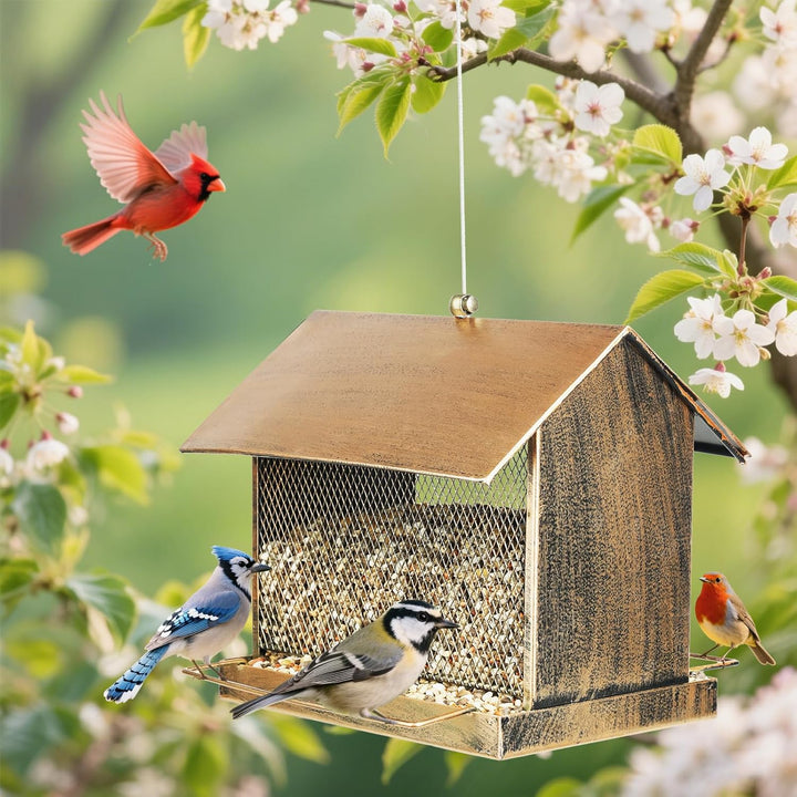 SAMHEOUTDOOR 3.5lb. Double-Side Metal House Bird Feeder