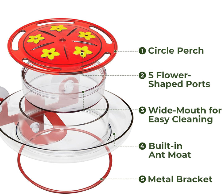 5 Spots Window Hummingbird Feeder