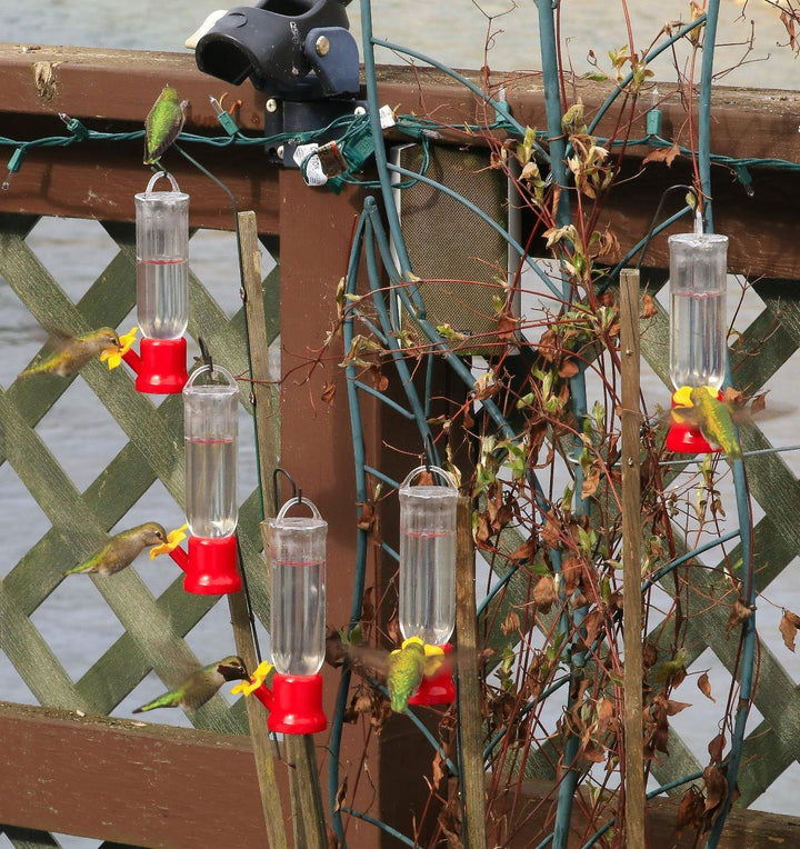4 Packs 2.3 oz. Hanging Hummingbird Feeder