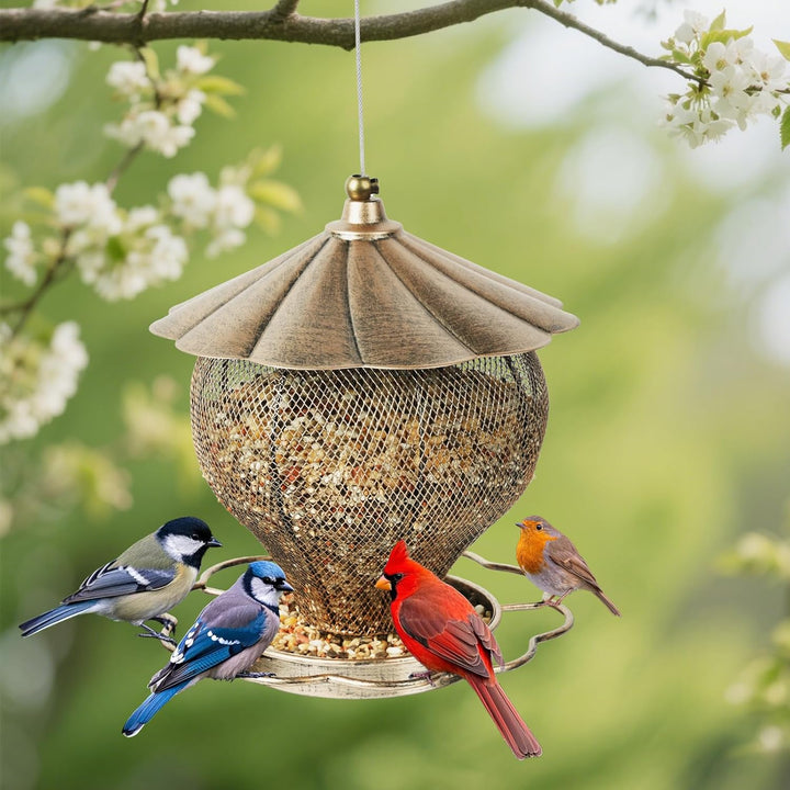 SAMHEOUTDOOR 3lb. Hot Air Balloons Metal Bird Feeder