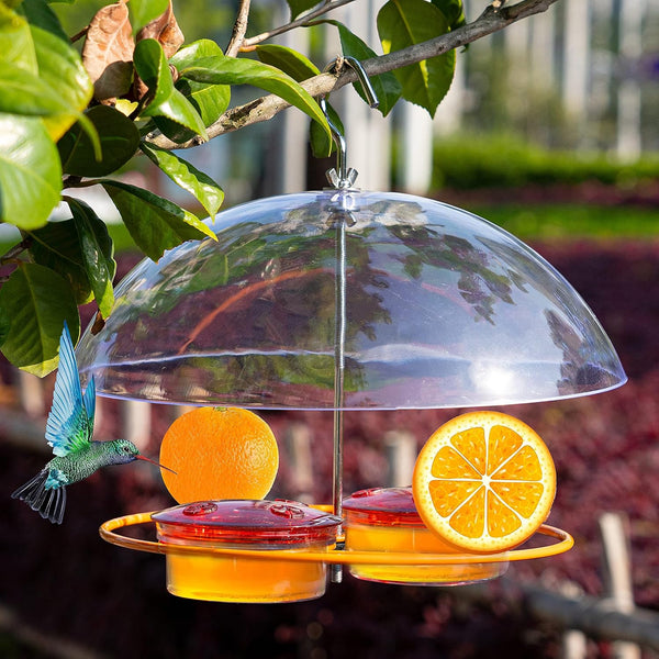 2-In-1 Hanging Squirrel Proof Hummingbird & Orioles Feeder