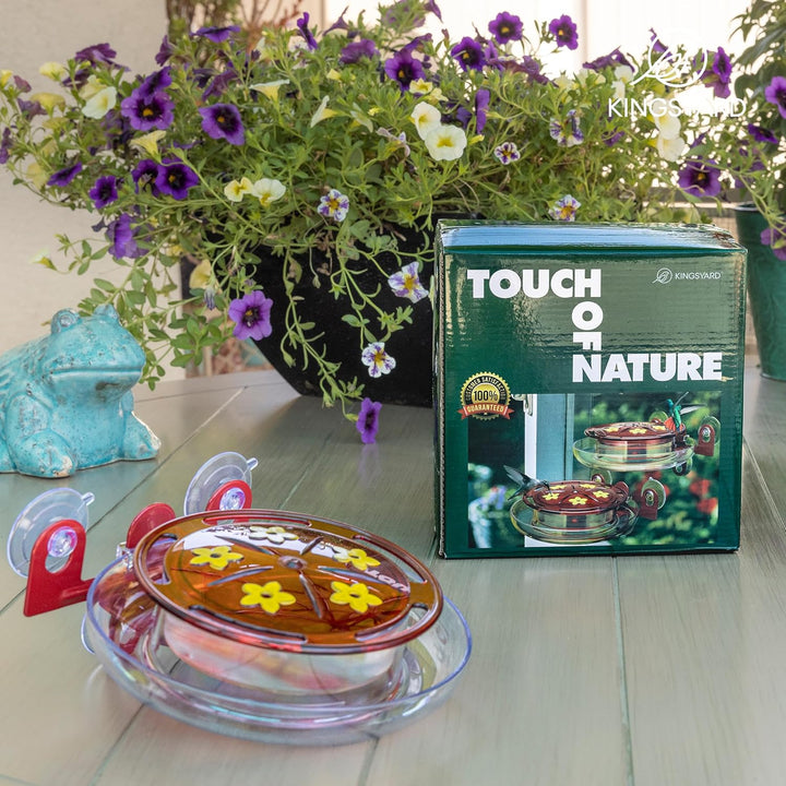 5 Spots Window Hummingbird Feeder