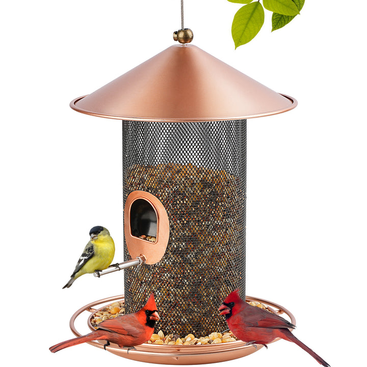 SAMHEOUTDOOR 3lb. Double-Layer Metal Wild Bird Feeder for Yard