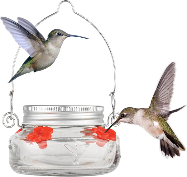 Mason Jar Hummingbird Dish Feeder 6 oz. (200ml)
