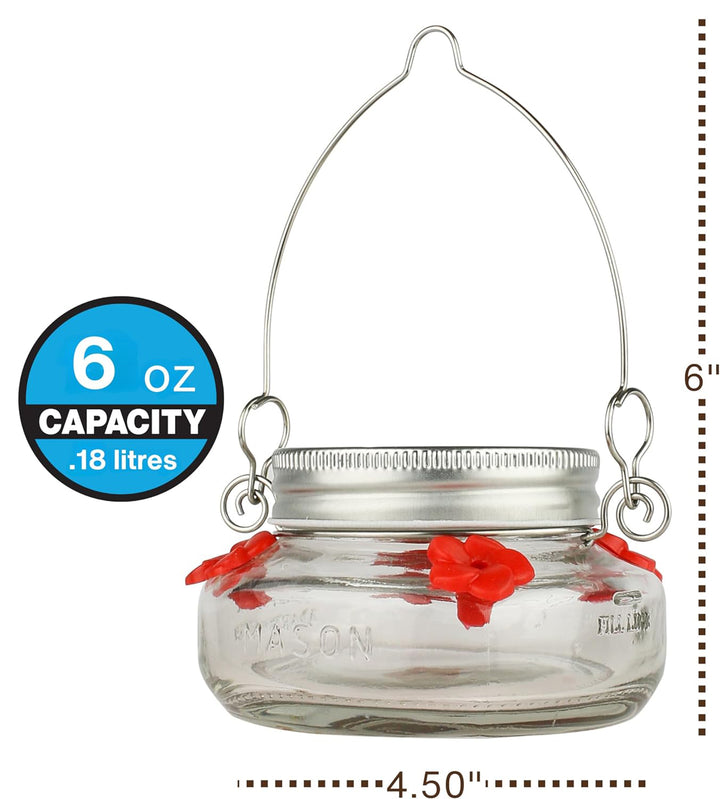 Mason Jar Hummingbird Dish Feeder