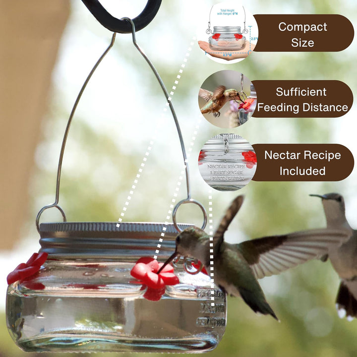 Mason Jar Hummingbird Dish Feeder