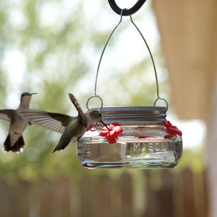 Mason Jar Hummingbird Dish Feeder